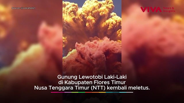 [BREAKING NEWS] Gunung Lewotobi Laki-laki Meletus Dahsyat