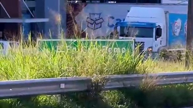 Rodovia ou floresta? Trecho urbano da PR-323 vira armadilha para motoristas em Umuarama