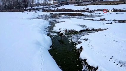 Özalp’te göç etmeyen leylekler yavruladı