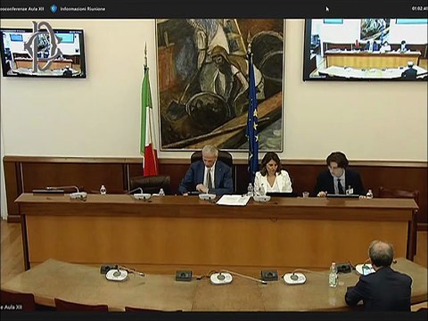 Roma - Prestazioni sanitarie-Audizioni-Federsanità, Ente nazionale previdenza assistenza medici e odontoiatri, Associazione psicologi italiani, Osservatorio malattie rare, Associazione Salute Donna (17.06.25)