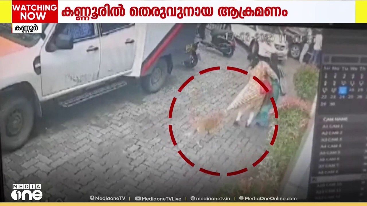കണ്ണൂർ നഗരത്തിൽ തെരുവുനായ ആക്രമണം: അമ്പതിലേറെ പ...