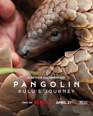 Pangolin: Kulu's Journey | Documentary | Film