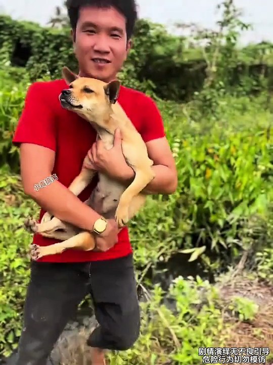 Hurry up and don't laugh, it still made me laugh