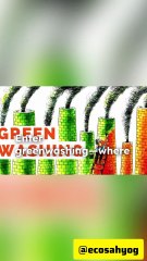 Why Environmental Laws Fail: A Political Deep Dive