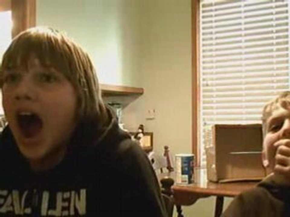 The Reaction
