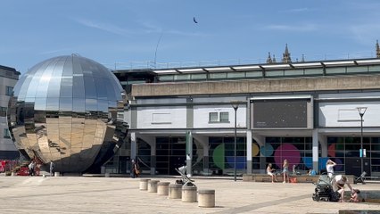 Something wild — and wonderful — has popped up right in the heart of our city.