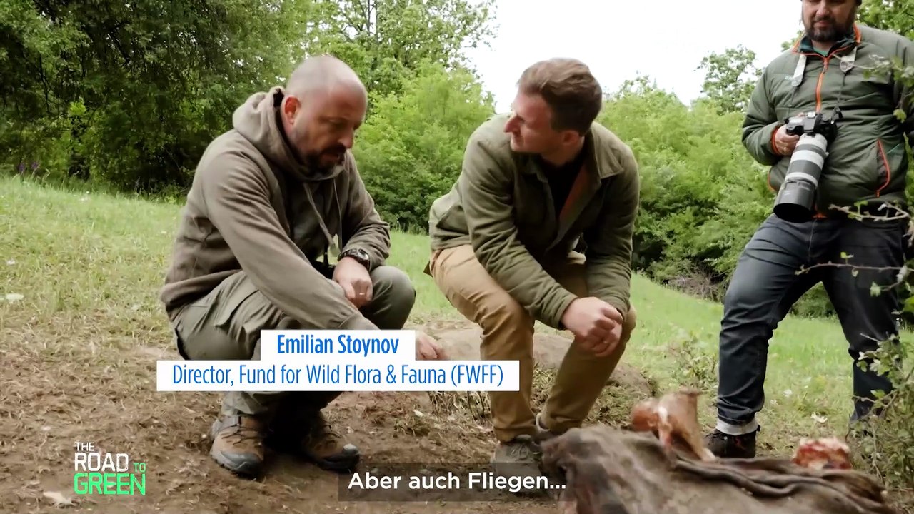 Die Rückkehr der bulgarischen Geier: Europas neues Kapitel nach der Vogelbejagung