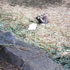 "I don't need Face ID" 😁😁😁