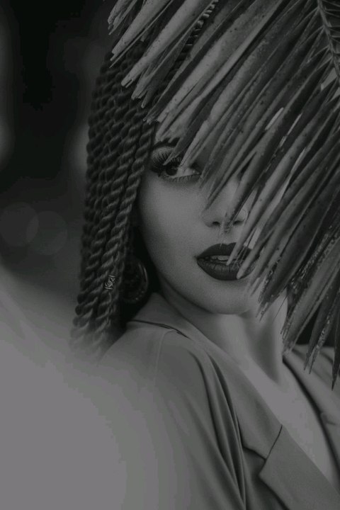 Braids, available now