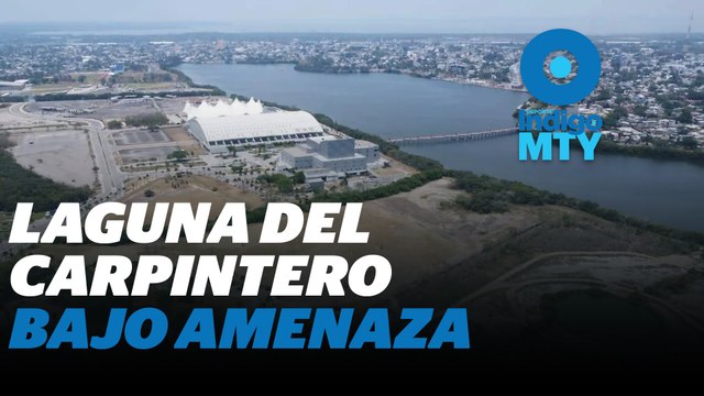 Inmobiliarias quieren acabar con la 'Laguna del Carpintero' en Tamaulipas | Reporte Indigo