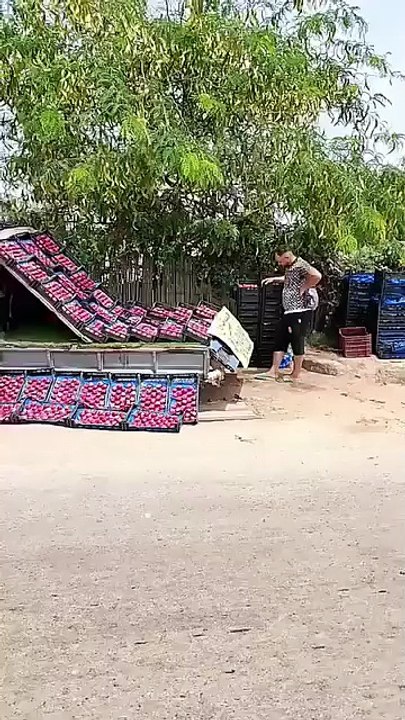 سوق الخوخ والنيكتارين إلى أين !؟