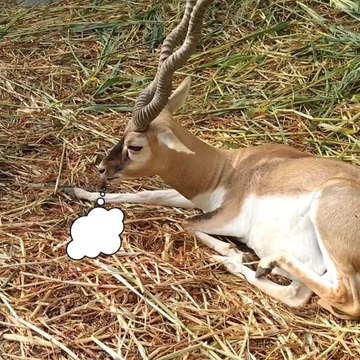 Y'all arguing about gas prices 😆😆😆