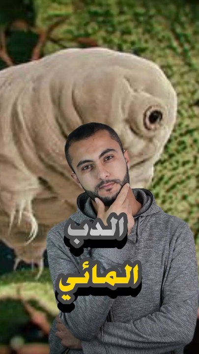 🧪 كائن بيقدر يعيش في الفضاء؟https://psce.pw/7r7len#النواة #الدب_المائي#Alnawa #dubai🇦🇪 #dubailife #Tardigrada #trending #travel #nature #wildlife
