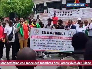 Des Guineens manifestent en France pour réclamer