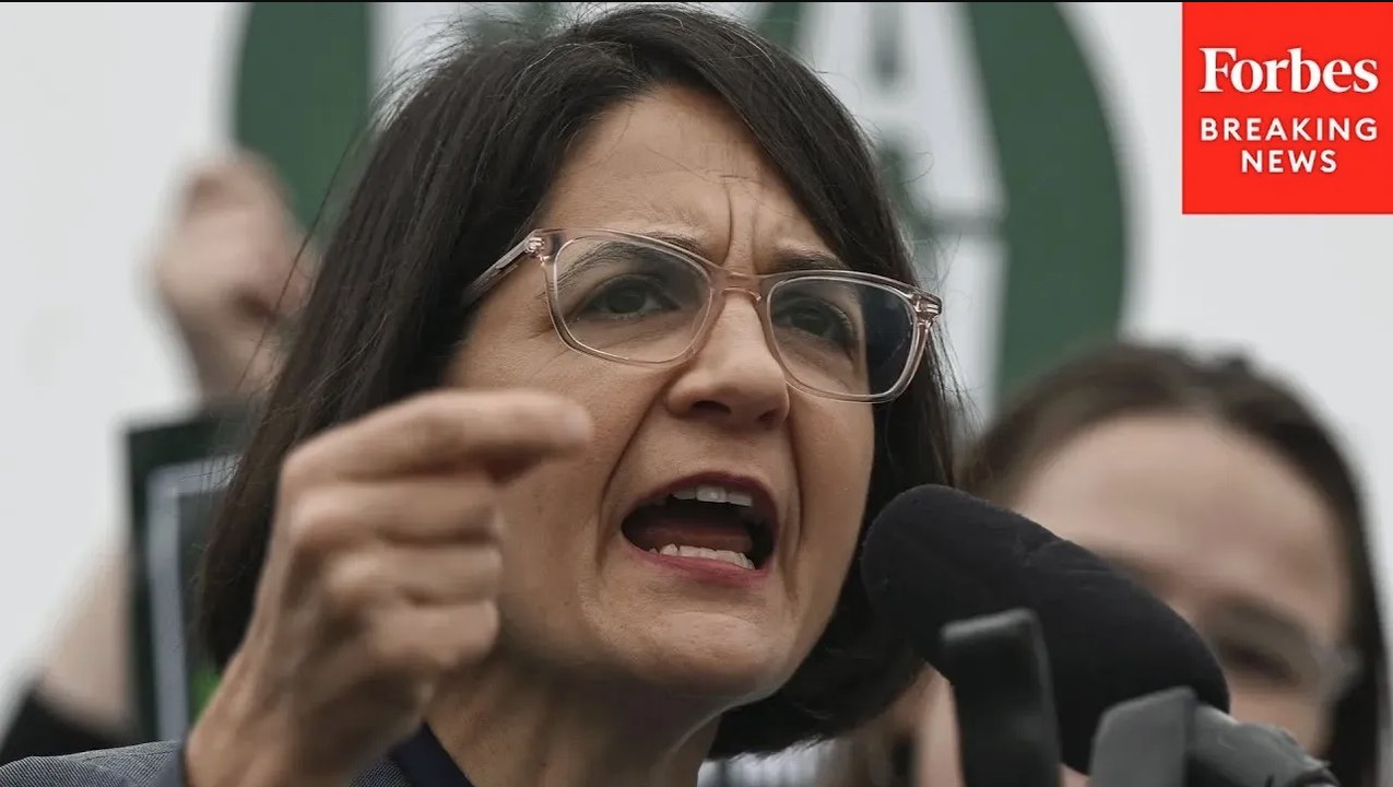 Becca Balint: 'It's Astonishing That We Are Allowing This Even To Come Before The Committee'