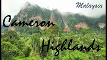 Cameron Highlands