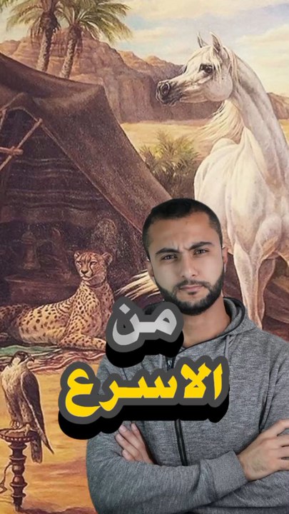 🐆🐎✨ مين أسرع؟ الفهد ولا الحصان العربي؟https://psce.pw/7r86ha#النواة #الفهد #الحصان_العربي#Alnawa #dubai🇦🇪 #dubailife #Acinonyx_jubatus #horse #trending #travel #nature #wildlife