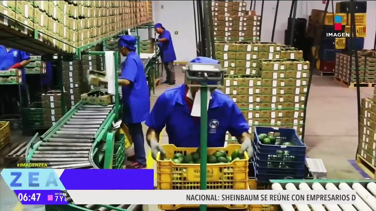 Bajan los niveles de pobreza laboral en México durante el primer trimestre de 2025