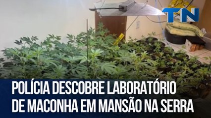 Polícia descobre laboratório de maconha em mansão na Serra