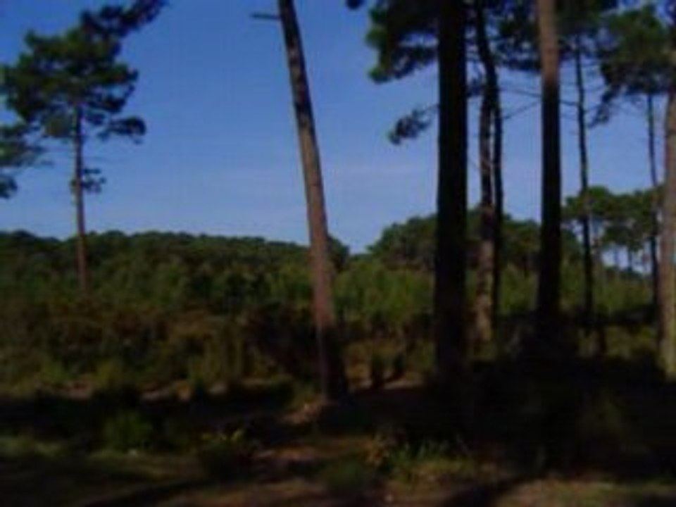 BombannesLeBois2