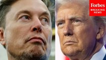 New Poll Reveals Who Won The War Between Trump And Elon Musk