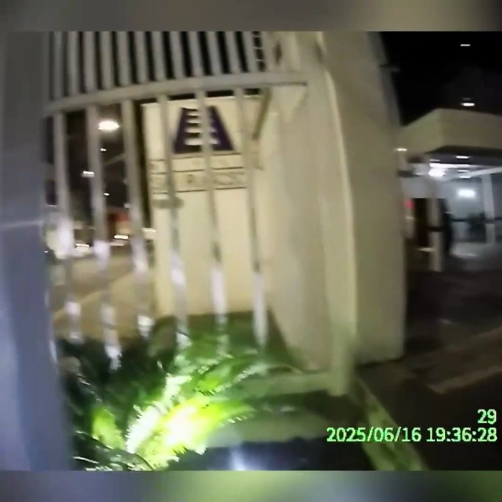 WhatsApp Video 2025-06-17 at 12.56.57