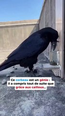 L’art de résoudre des problèmes complexes 😱