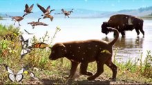 online earning krny ka tareka cat short video bana