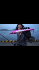 kıyıdan dev balık