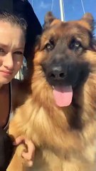 Adorable Puppy Antics 🐕✨