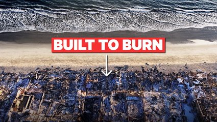 Satellite images show how fires are changing Los Angeles for good