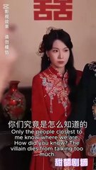 The Heiress Revenge Playbook - ShortFlicks