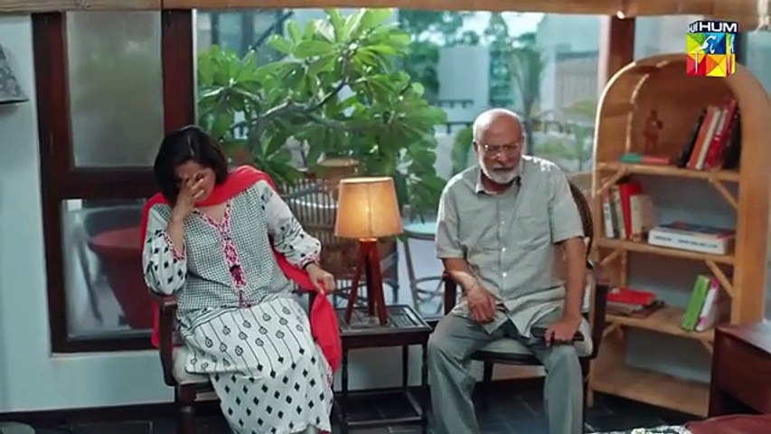 Judwaa - Episode 13 -  [ Aina Asif & Adnan Raza Mir ]