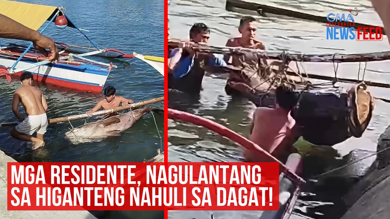Mga residente, nagulantang sa higanteng nahuli sa dagat! | GMA Integrated Newsfeed