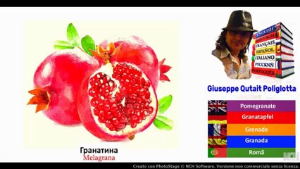 Visual Dict with Audio гранатина, сыр моцарелла, ландыш, нарцисс