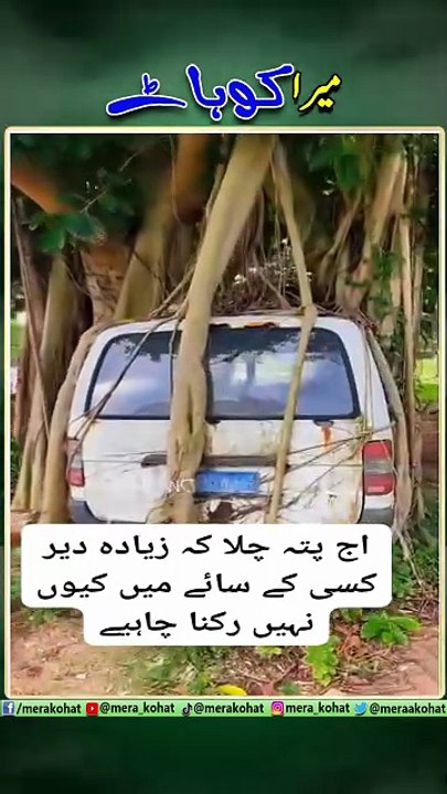 mera kohat 55-4