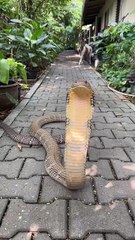 Oh, I guess I'll leave here 😅