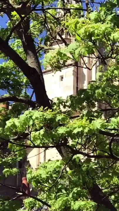 York Mai 2025 Folge 04