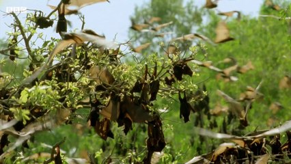 Secrets of Bones episode 3