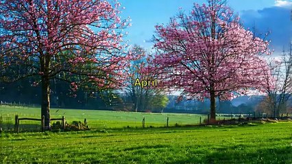 10000 palabras - April