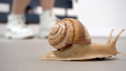 Urs Fischer: Maybe / Art Basel 2025