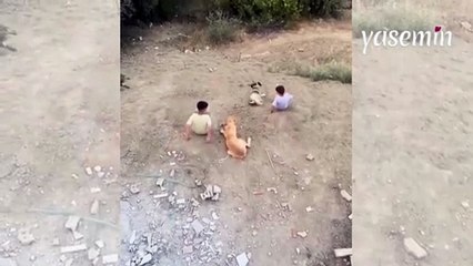 Köpeklerle beraber böyle eğlendiler! Görenlerin kalbi yumuşacık oldu