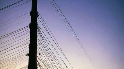 Calamondin Feat.Up Town Boys_Tangled Threads.