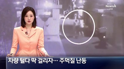 차량 털다 딱 걸리자…차주에 주먹질 ‘난동’