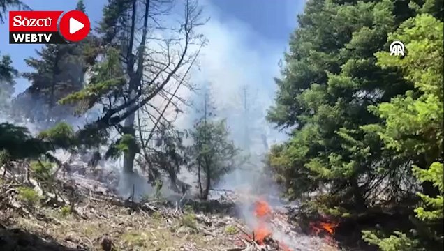 Erdemli'de çıkan orman yangınına müdahale ediliyor