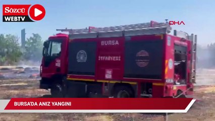 Bursa'da anız yangını