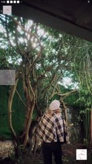 The Triple Life Of My Accidental Husband Full Movie