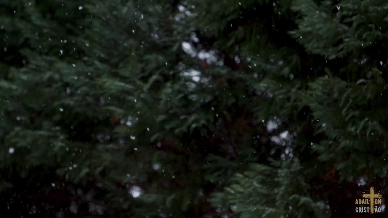 MARAVILHOSO AMOR | Conjunto da Fé cantando AO VIVO em  Momentos no Tabernáculo da Fé em Goiânia - GO - Brasil