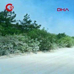 Bursa'da orman yangını Karadan ve havadan müdahale!