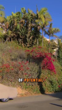 Second Date Update - 002